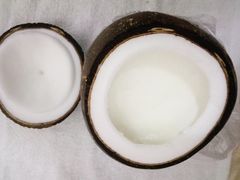 -志龙皇冠吃货椰子铺