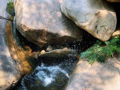 -碓臼峪自然风景区