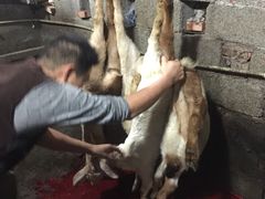 -赵二娃烤全羊