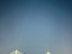 -摆渡站(董家渡站)