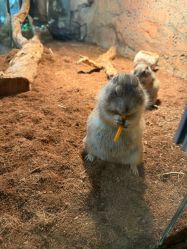 -Zoolung Zoolung动物主题公园(海信广场店)