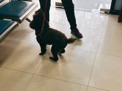 -申普宠物医院·眼科·心内科·影像科(普陀分院)