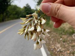 -南京市无想山景区
