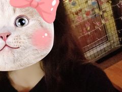 -首尔大排档