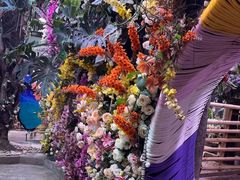 -正佳雨林生态植物园