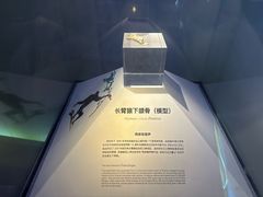 -重庆自然博物馆(新馆)