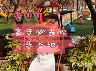 遛娃好去处乐zoo动物体验营