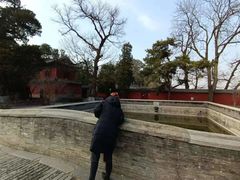 -大觉寺-停车场