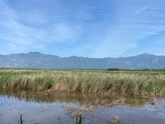 -野鸭湖国家湿地公园