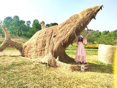 -秀丽东方