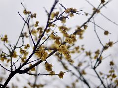 -白塘生态植物园