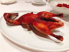 -东富酒家(龙湖西溪天街店)