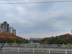 -小河无名面馆