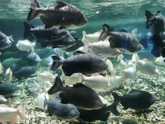 -成都浩海立方海洋公园
