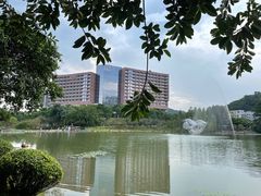 -广州汇华希尔顿逸林酒店