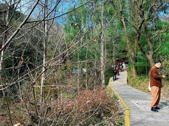 -王顺山国家森林公园