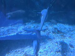 -太平洋海底世界