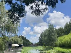 -黄海国家森林公园