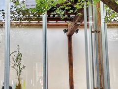 -VOYAGE COFFEE(杨梅竹店)