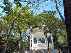 -风云岭森林公园