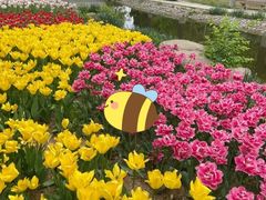 -石家庄市植物园
