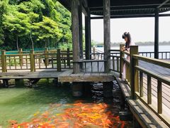 -桃花岛风景旅游区