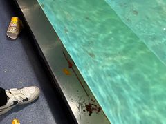 -重庆欢乐海底世界