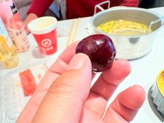 -海底捞大排档火锅(悦荟广场店)