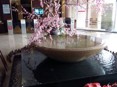 -航空小镇温泉