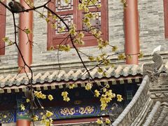 -西安大兴善寺