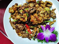-舒味姜母鸭·沙茶面(湖里店)