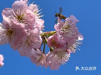万物自有它的季节,耕种、锄草,花开时看花
