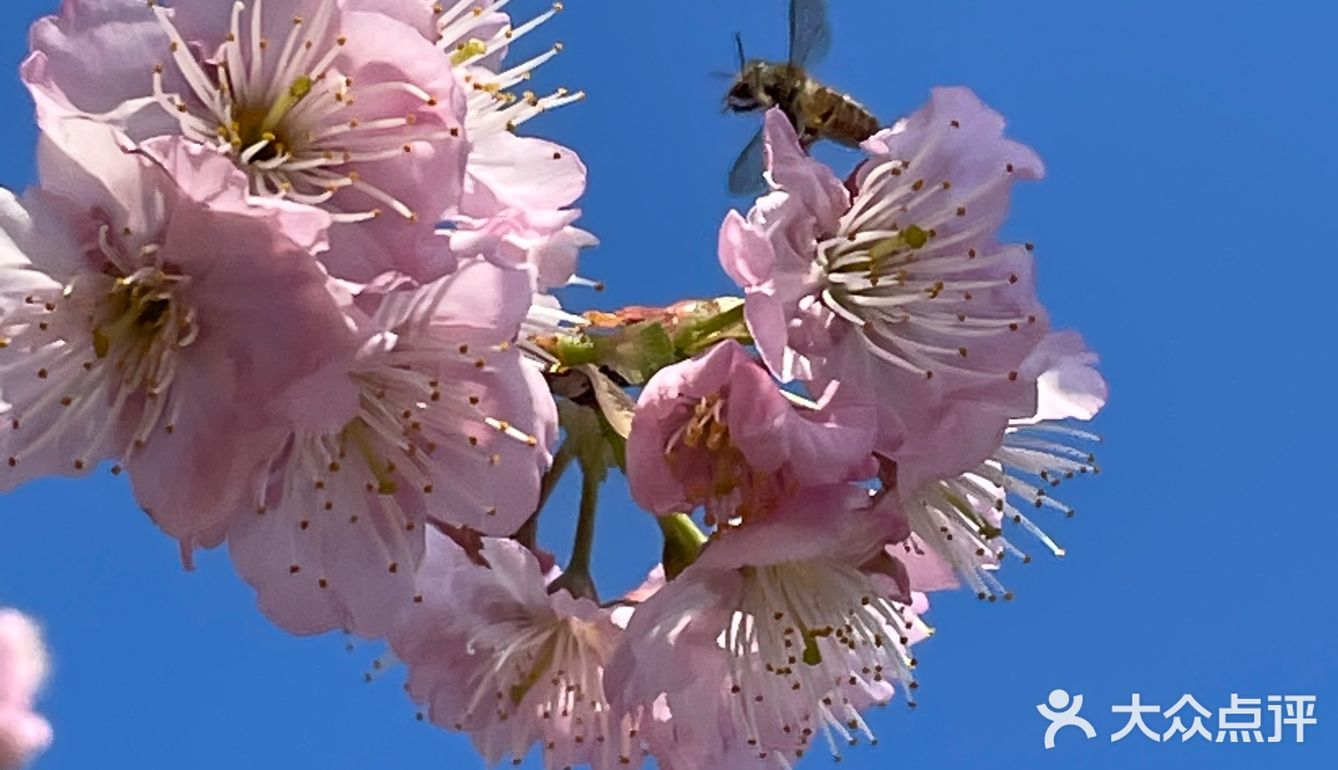 万物自有它的季节，耕种、锄草，花开时看花