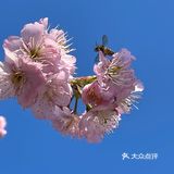 万物自有它的季节，耕种、锄草，花开时看花