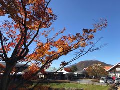 -轻井泽王子购物广场