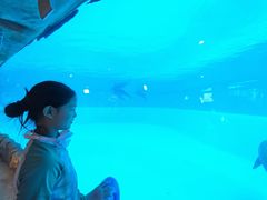 -横琴湾水世界