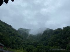 -牛背梁国家森林公园