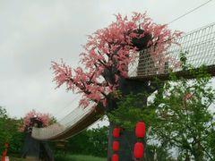 android_upload_pic-天适樱花悠乐园