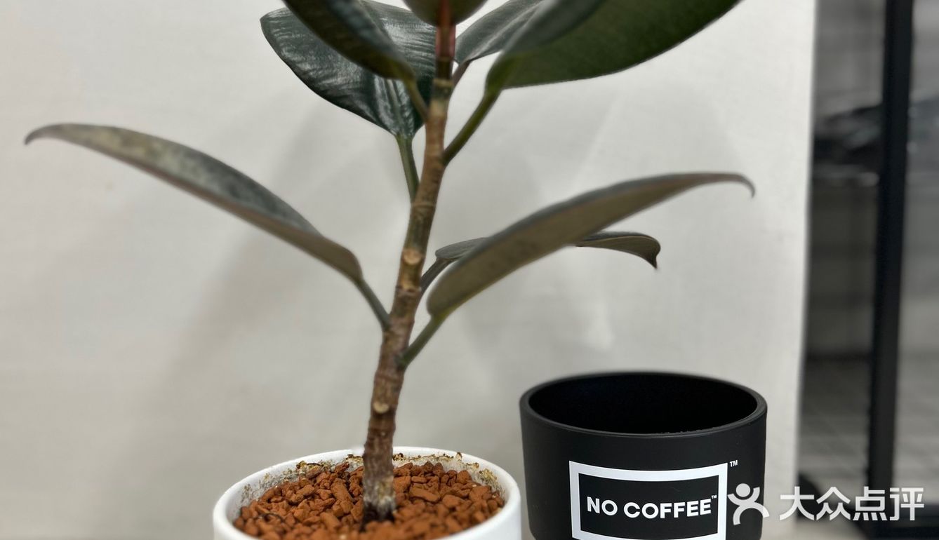 春日咖啡日记☕️🌱