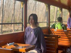 -合肥滨湖国家森林公园