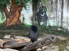 -南昌动物园