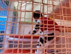 -尼克Playtime(欢乐海岸店)