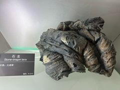 -甘肃地质博物馆