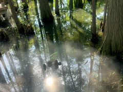 -东湖落雁景区