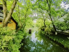 -西溪国家湿地公园