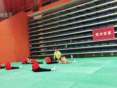 -武术世家少儿培训中心(首都体育学院店)