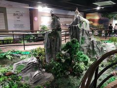 -中山市树木园