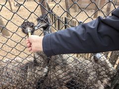 -大连森林动物园