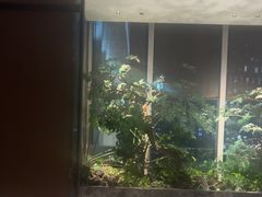 -海立阁海鲜江浙菜(漕河泾印象城店)