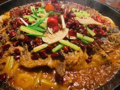 -老板恋上鱼(高新万达店)